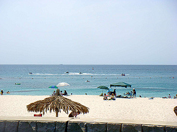 dsc03190_thumb.jpg