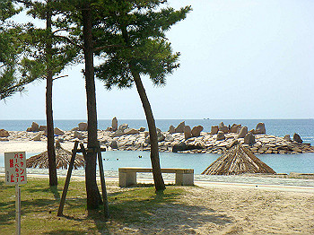 dsc03191_thumb.jpg