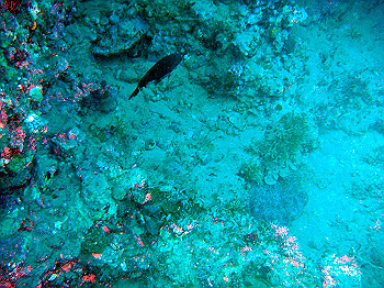 dsc03195_thumb.jpg