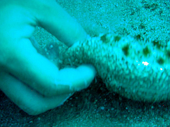 dsc03205_thumb.jpg