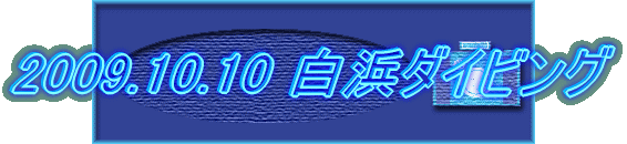 2009.10.10  vԂ̔l_CrO