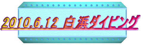 2010.6.12  vԂ̔l_CrO